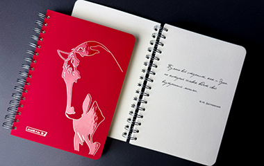 Блокнот «с характером»: сочетание дизайна и функциональности материалов