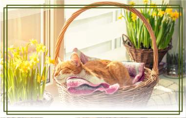 С Международным женским днем!