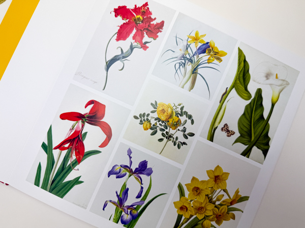 Галерея календарного проекта «Дубль В»