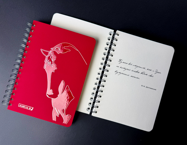 Блокнот «с характером»: сочетание дизайна и функциональности материалов