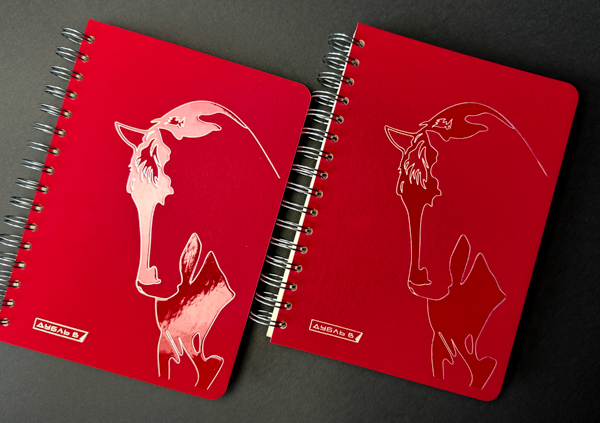 Блокнот «с характером»: сочетание дизайна и функциональности материалов