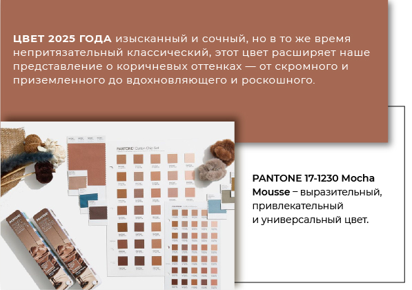 Pantone2025Artboard 7-100.jpg